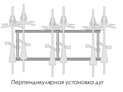 velo-polozhenie-1